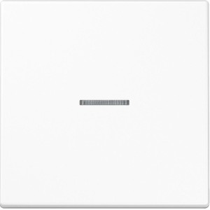 Jung Wippe LS990 Alpinweiß mit Lichtleiter für Schalter und Taster.