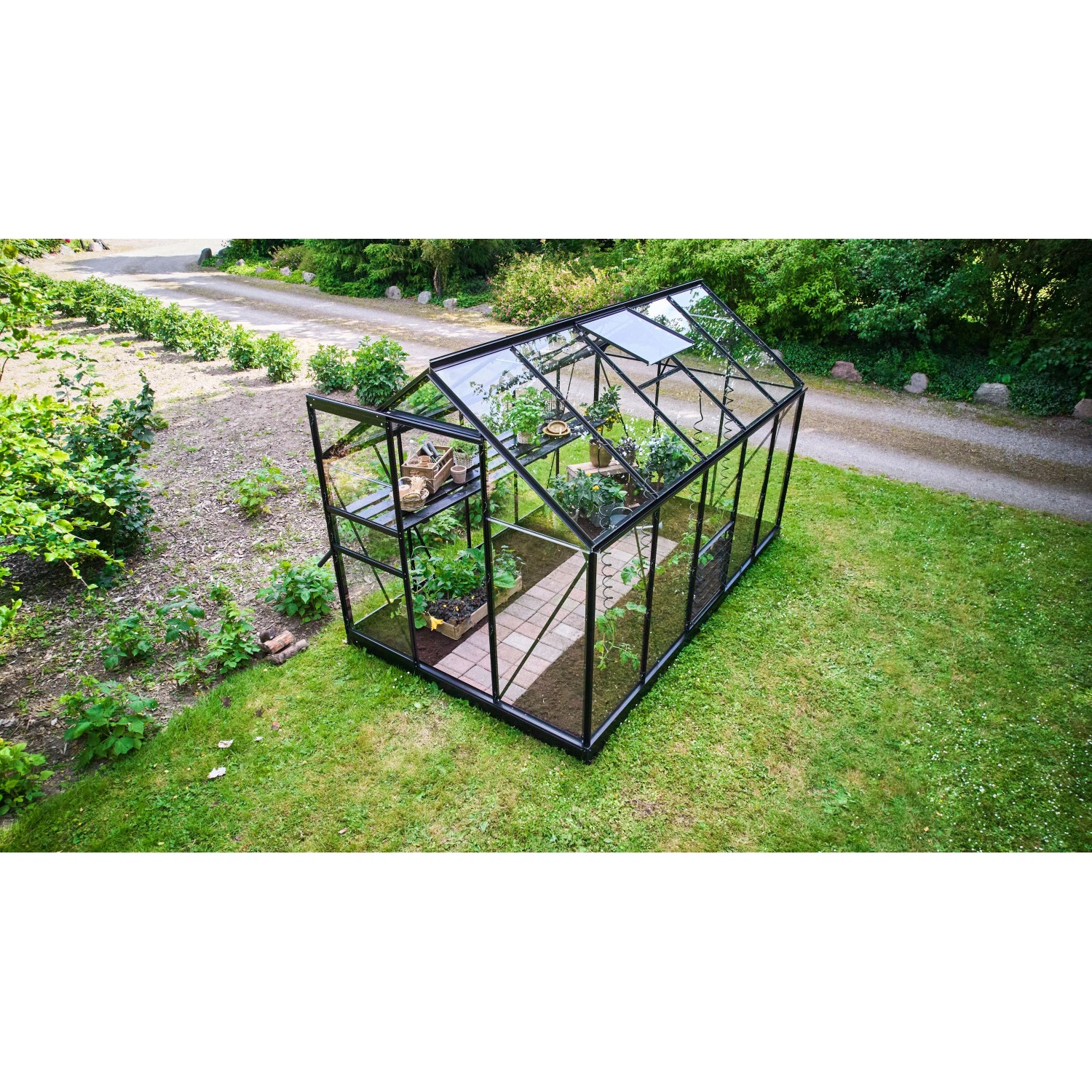 Schwarzes Halls Gewächshaus Popular 6,2 m² mit Pflanzen im Garten.