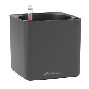 Lechuza CUBE Color 16 Pflanzgefäß in Basalt mit Wasserstandsanzeiger.