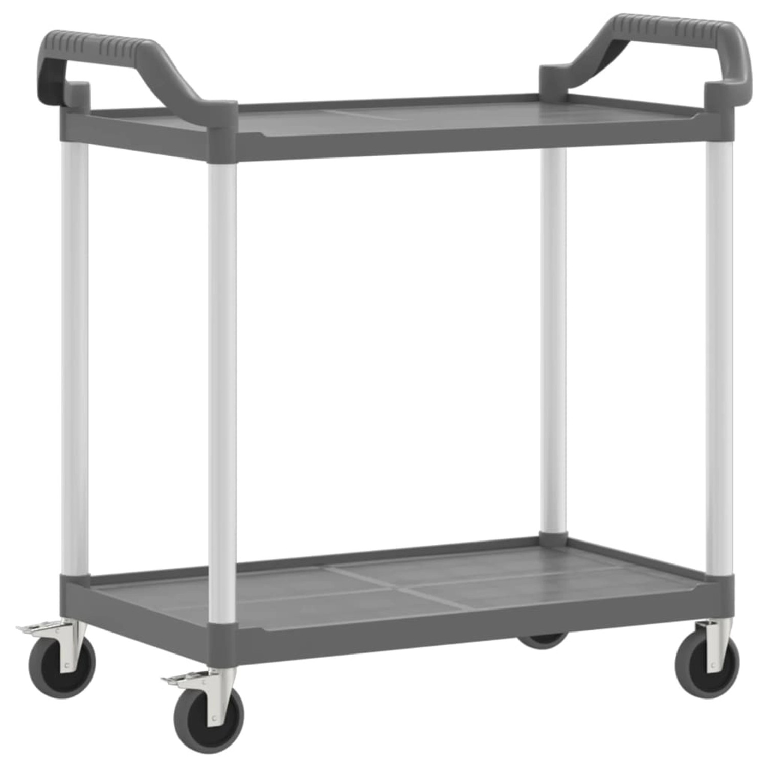 vidaXL Rollwagen mit 2 Etagen Grau 99x50x97 cm Aluminium günstig online kaufen