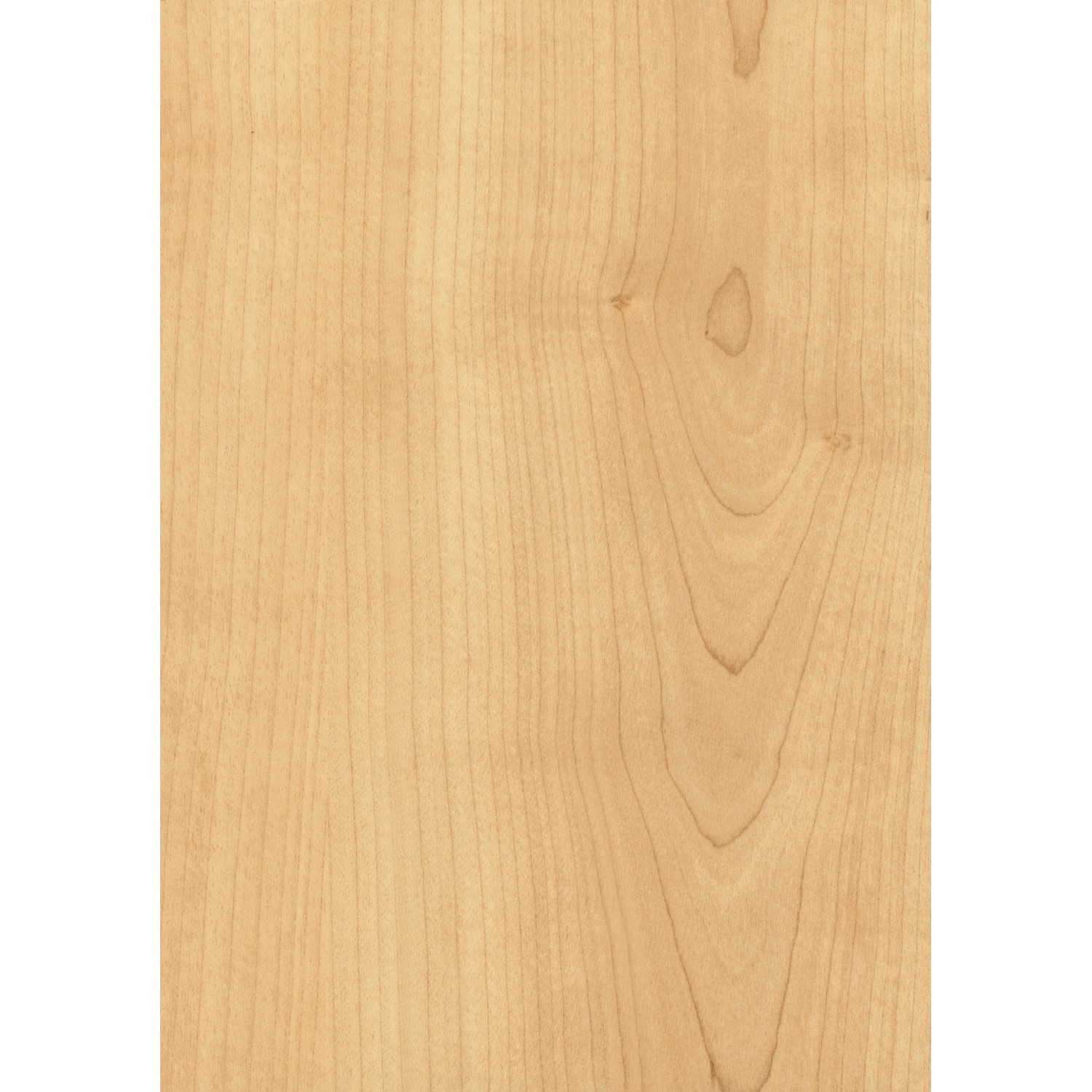 Türrahmen CPL Ahorn Holznachbildung, Detailansicht der Holzstruktur.