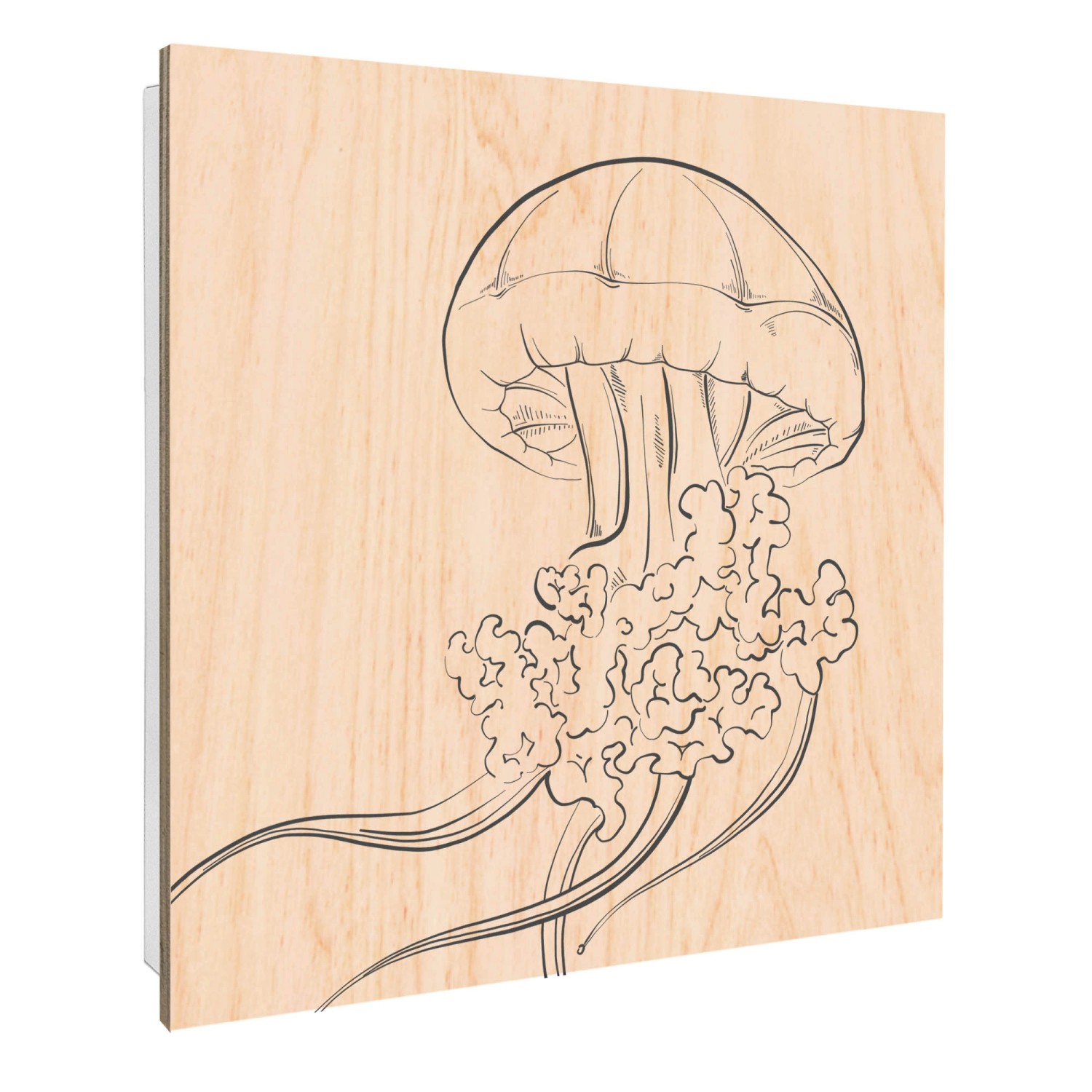 Banjado Schlüsselkasten mit Holzfront 30x30cm Weiß Scharnier Links 50 Haken günstig online kaufen