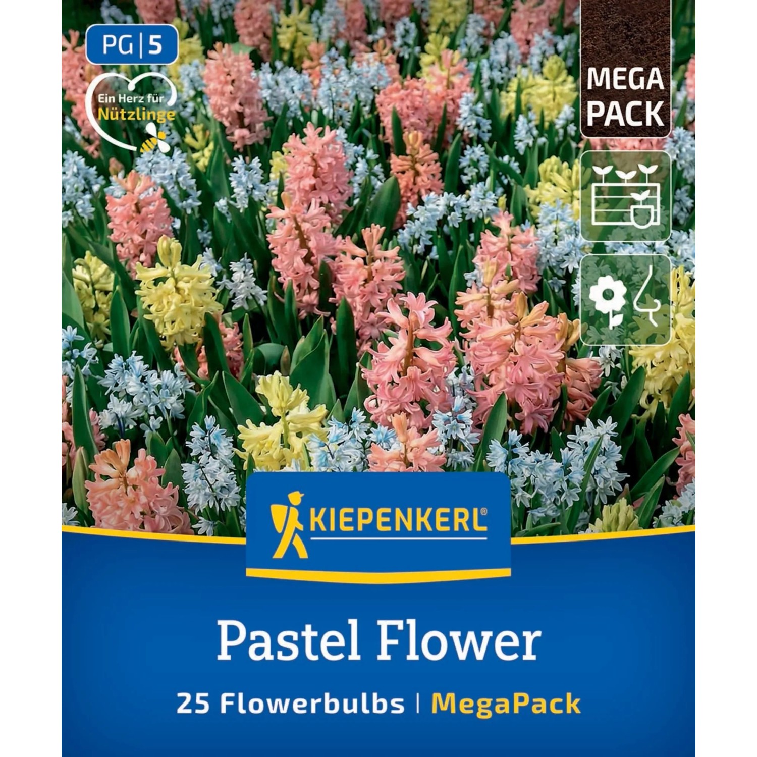 Kiepenkerl Blumenzwiebel Mega Pack Pastel Flower 25 Stück