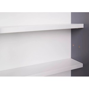 Detailansicht: Weiße Regalböden im grauen ebuy24 Collecty Vitrinenschrank.