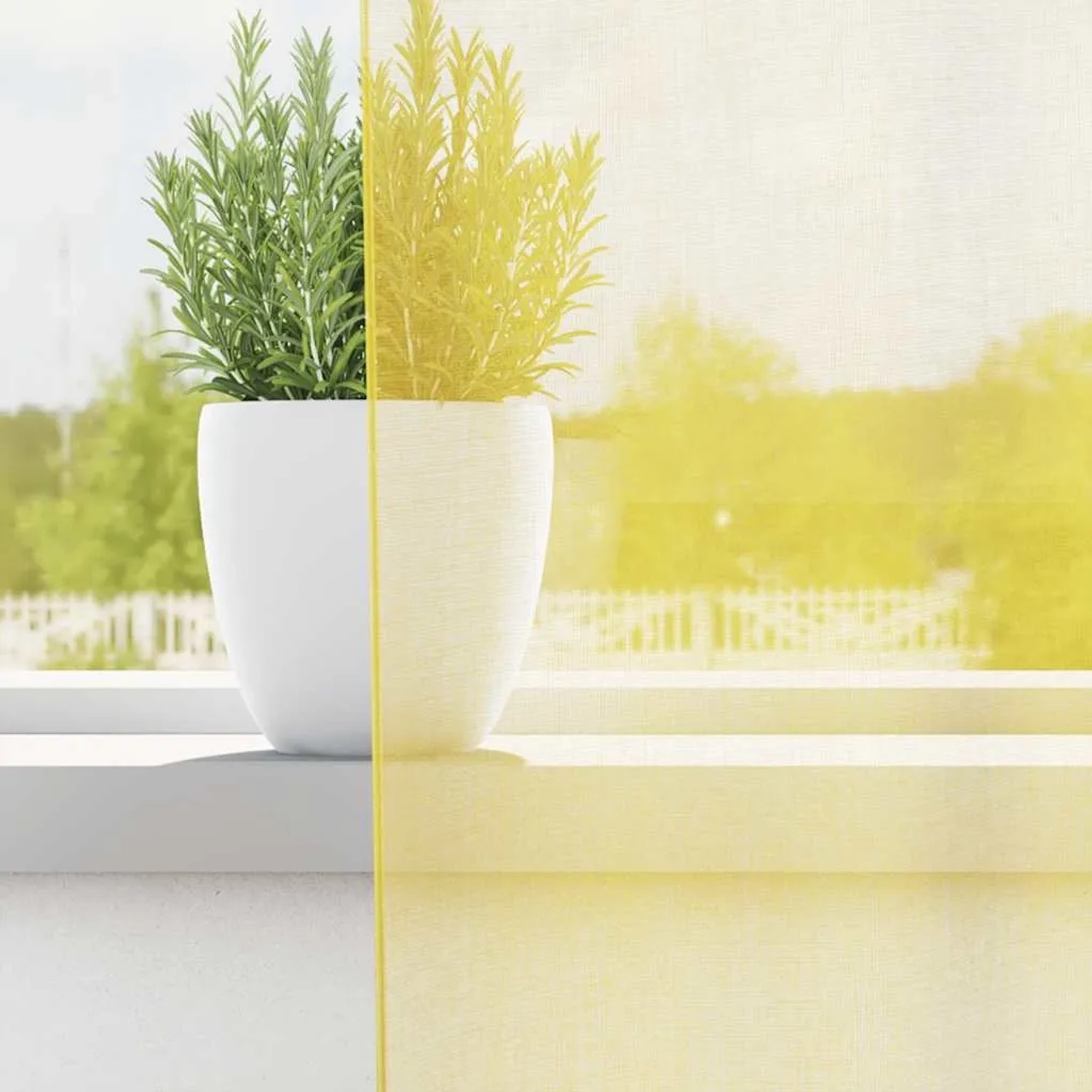 Gelber Voile Vorhang mit Ösen, halbtransparent, filtert Licht, gezeigt mit Pflanze auf Fensterbank. Ideal für Fenstervorhänge.