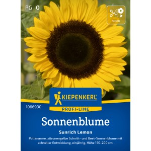 Kiepenkerl Sonnenblume Sunrich Lemon F1 Gelb mit leuchtend gelben Blütenblättern und brauner Mitte.