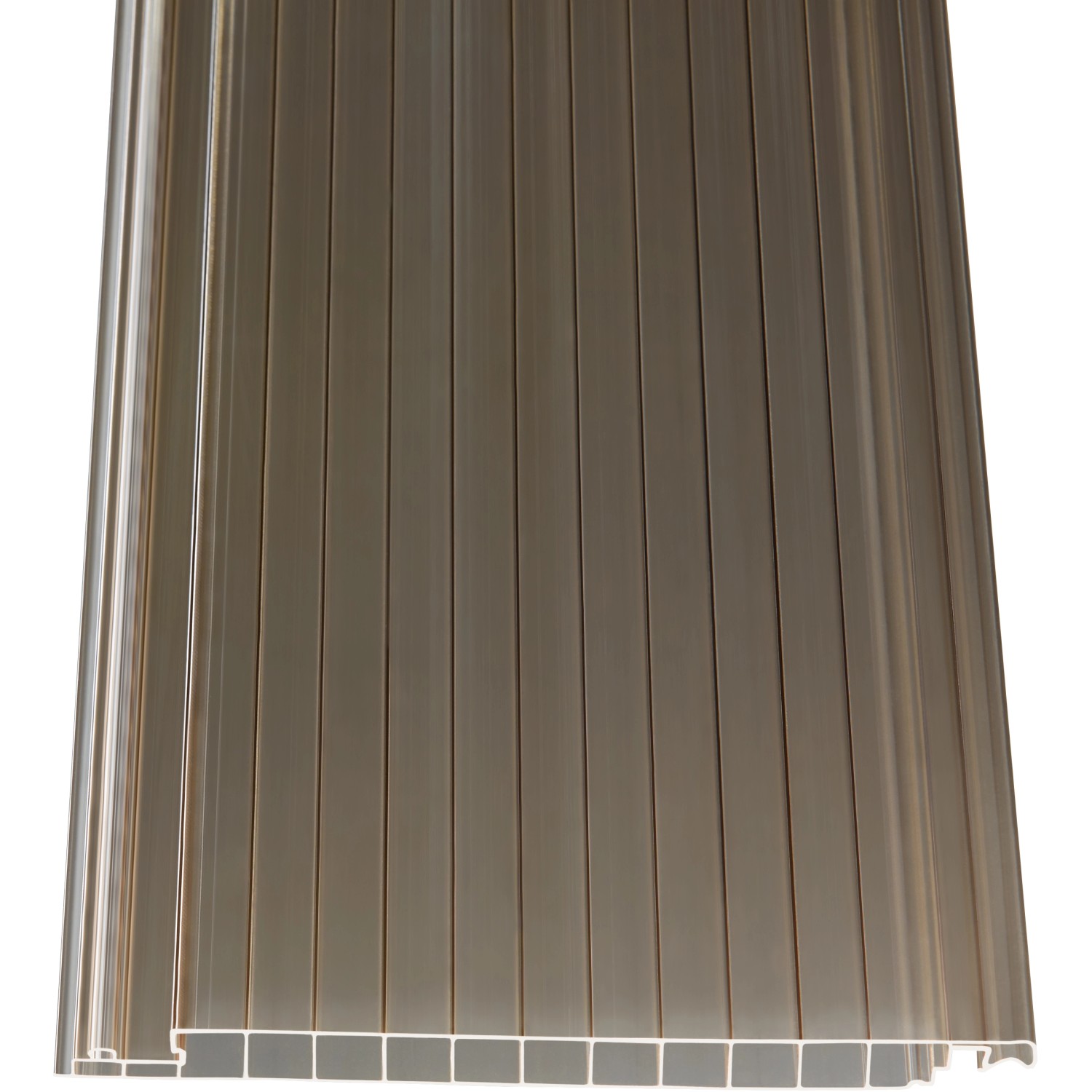 PC Hohlkammerpaneele Easy-click plus 1,6 cm Bronze 250 cm x 20 cm