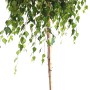 Hänge-Birke 'Youngii' im Topf, ca. 160-170cm hoch, mit herabhängenden Ästen. Ideal als Hausbaum.