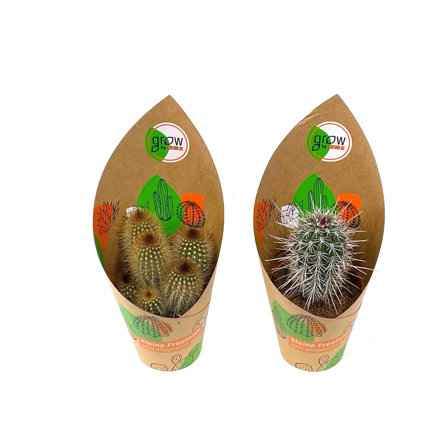 GROW by OBI Kaktus 2-fach sortiert Topf-Ø ca. 12 cm
