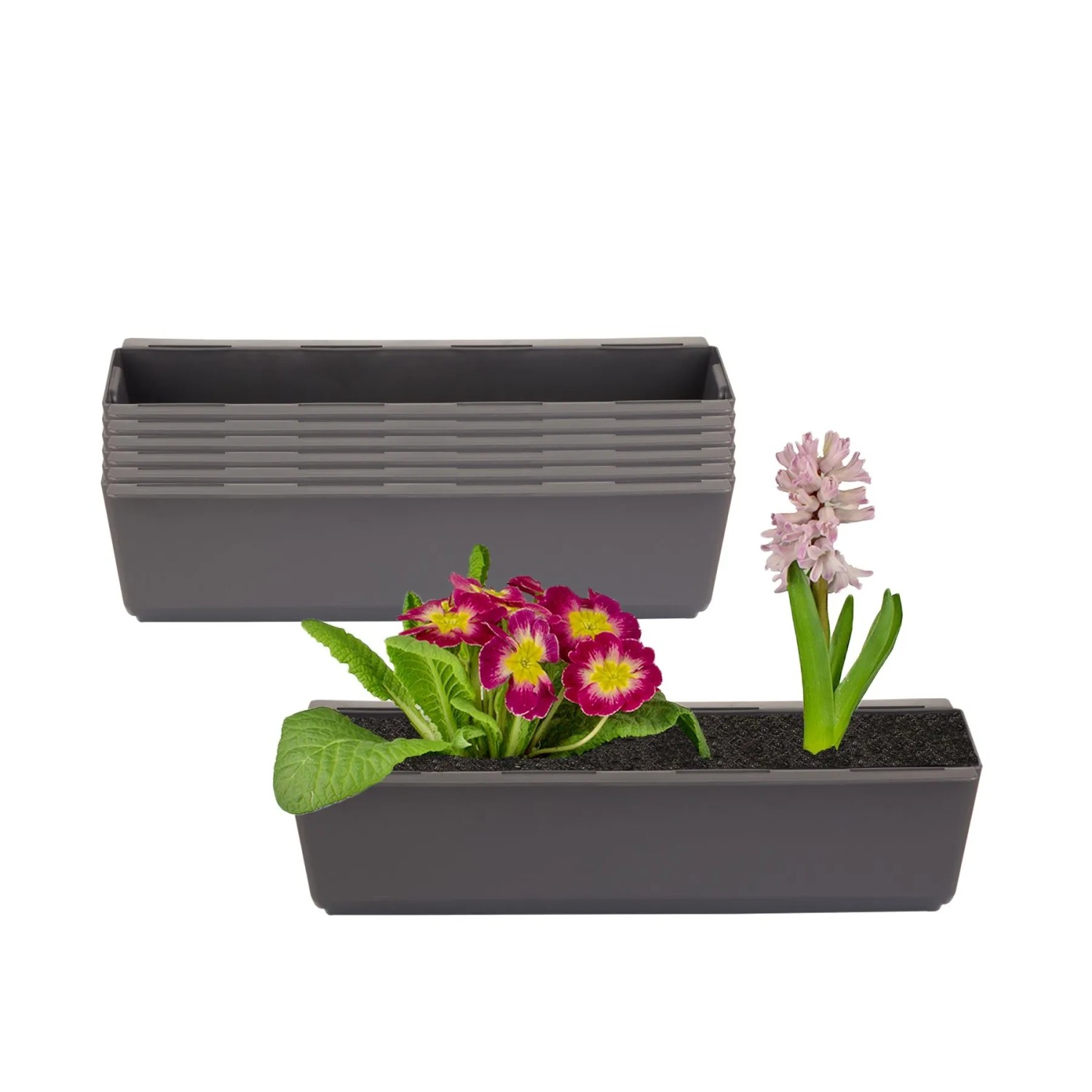 Set anthrazitfarbener rechteckiger Blumenkästen, einer mit rosa Primel und Hyazinthe bepflanzt. Für Paletten.