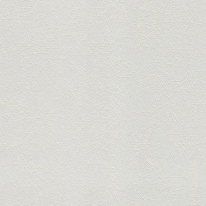 Helle, überstreichbare Bricoflor Vliestapete mit feiner Struktur für Decke und Wand.