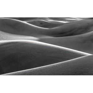 Sanders & Sanders Fototapete: Graue Landschaft mit sanften Dünen, 450x280 cm.