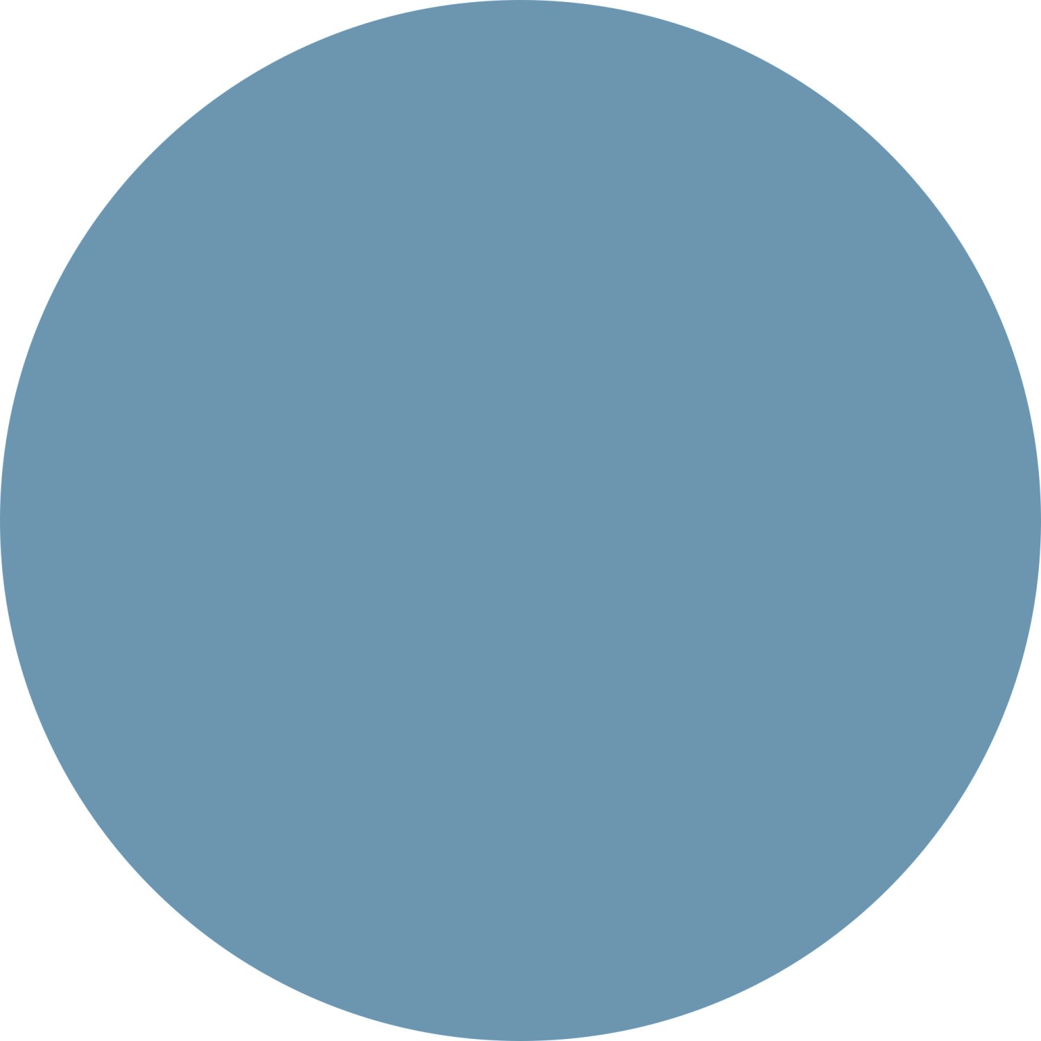 Bestlivings Haustierbett Fluffy, Ø50cm, türkis. Hundekissen/Katzenbett für Komfort.