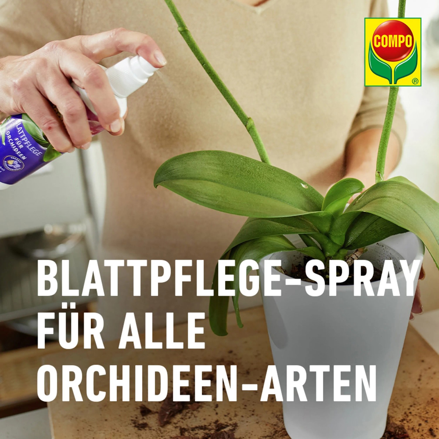 Compo Blattpflege für Orchideen, Anwendung des Pflegesprays auf Orchideenblättern.