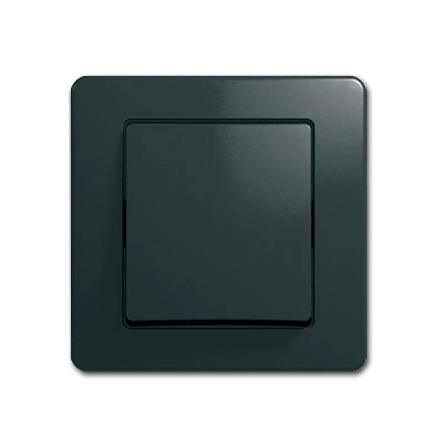 TEM EKONOMIK Taster Anthrazit 250V10A UP Unterputz