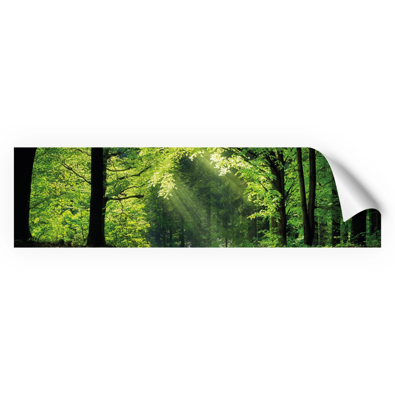 Myspotti Küchenrückwandfolie Sommerwald Selbstklebend 220 cm x 60 cm