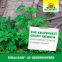 Neudorff Finalsan AF Giersch-Frei Unkrautvernichter im Beet mit Giersch vor Holzwand.