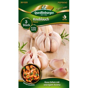 Quedlinburger Knoblauch 'Flavor' Weiß, frühe Sorte mit rosa Zehen und würzigem Aroma.
