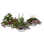Sommerliches Pflanzenarrangement im Zink-Gefäß, verschiedene bunte Blumen in Schalen für den Außenbereich.
