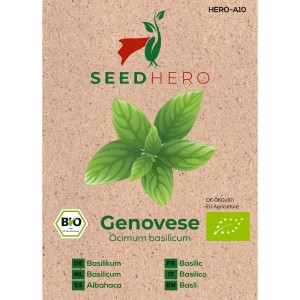 Seedhero BIO Basilikum Genovese Samen für ca. 100 Pflanzen.