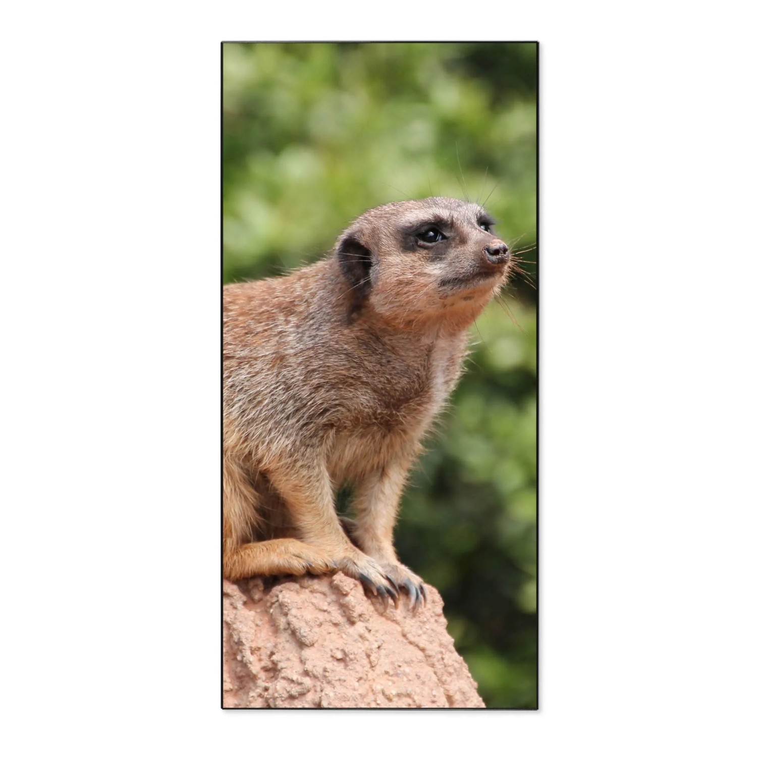 Banjado Magnettafel 37x78cm Magnetwand  Schwarz Aus Metall Magnetpinnwand P günstig online kaufen