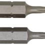 2er Set LUX Standard Bits TX10 für Schrauberarbeiten.
