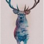 Komar Wandbild Animals Deer, 50x70 cm, mit Hirsch-Motiv in Aquarellfarben.