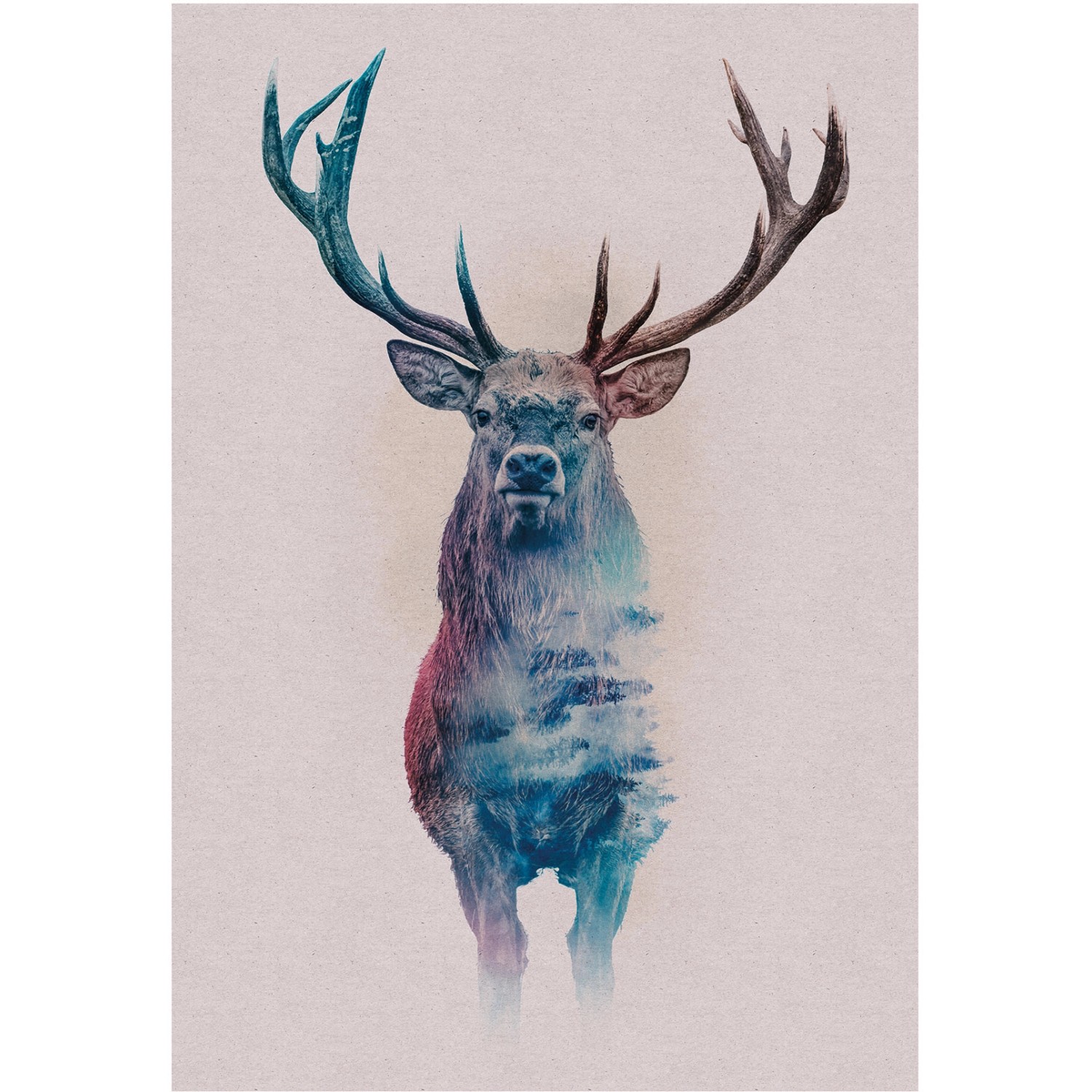 Komar Wandbild Animals Deer 50 x 70 cm