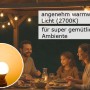 Satisfire Partylichterkette mit warmweißen LED Kugellampen für Biergarten & Garten.