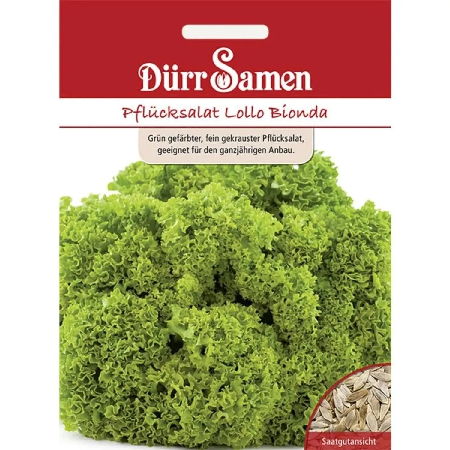 Dürr Samen Pflücksalat Lollo Bionda Saatgut