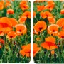 Wenko Herdabdeckplatten Mohnfeld 2er-Set für alle Herde, mit Mohnblumen-Motiv.