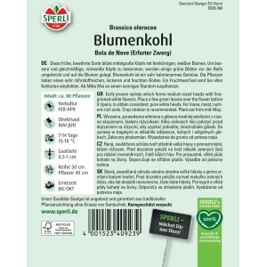 Sperli Blumenkohl Bola de Neve Samenpackung. Weiße Blumenkohlköpfe der Sorte Erfurter Zwerg.