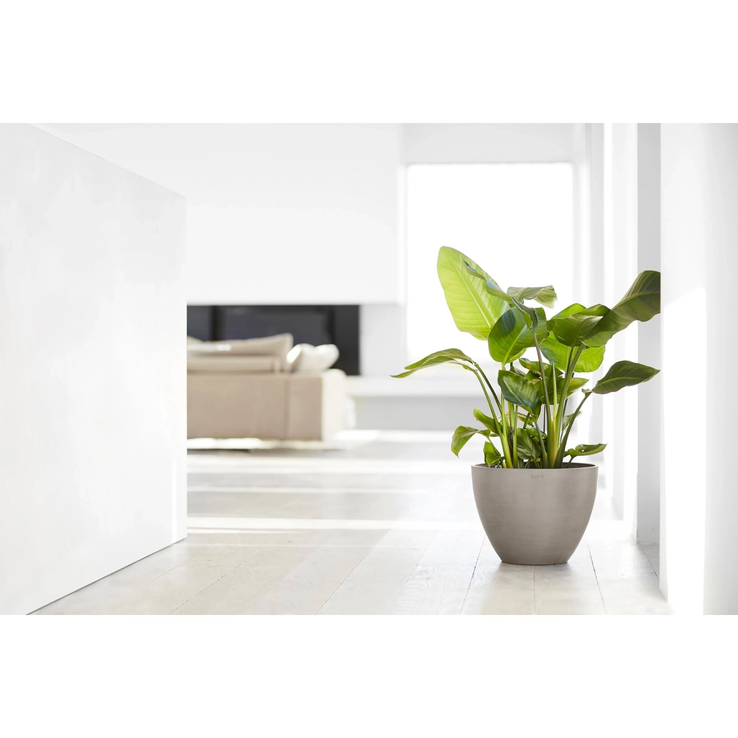 Ecopots Antwerp Pflanztopf, braungrau, 40 cm, mit grüner Pflanze im modernen Wohnraum.