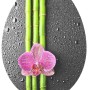 Schütte WC-Sitz Asia mit Holzkern, Absenkautomatik, Bambus und Orchidee auf dunklem Grund.