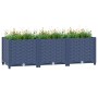 Blaugraues vidaXL Hochbeet aus Polypropylen in Rattan-Optik, bepflanzt mit Blumen. Ideal für Garten & Balkon.