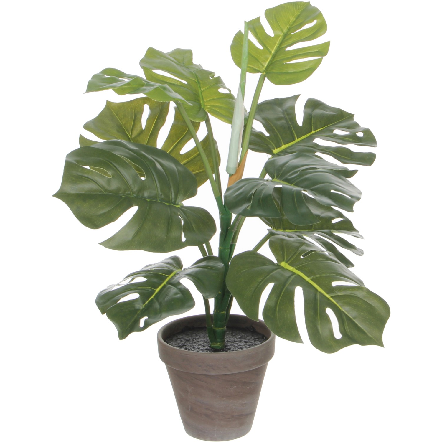 Mica Decorations Kunstpflanze Monstera H 48 cm, Ø: 39 cm günstig online kaufen