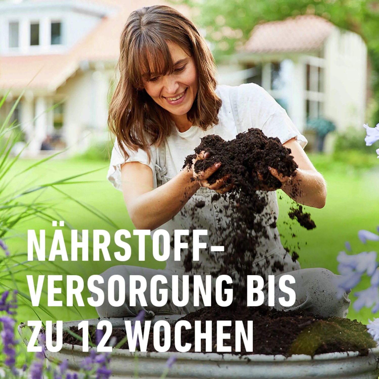 monstera braun gelbe ränder Tipps zur Pflege deiner Pflanze : Monstera deliciosa – PflanzenFuerAlle main image 1