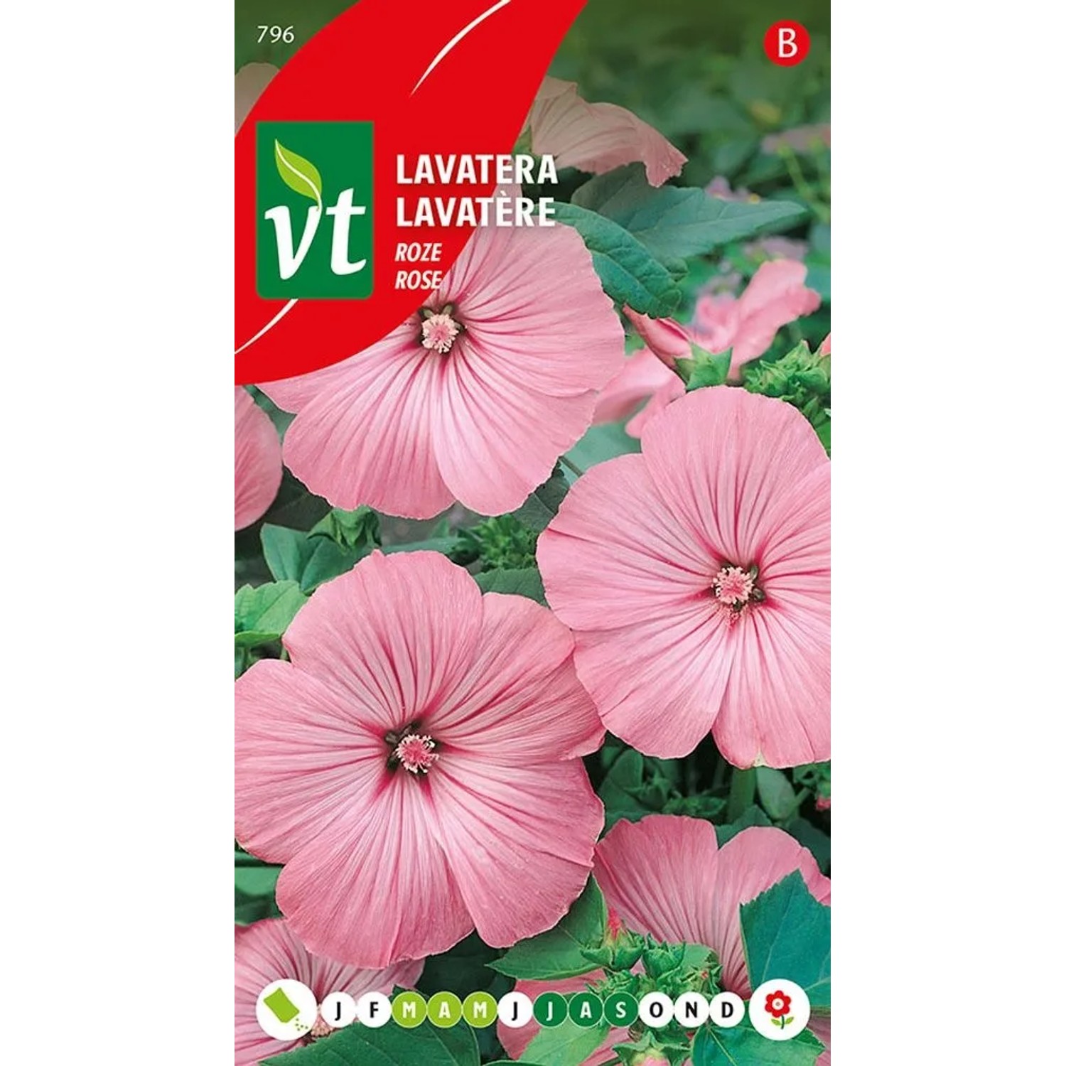 Bechermalve 'Rose' Saatgut ca. 0,75 g Rosa Blüten