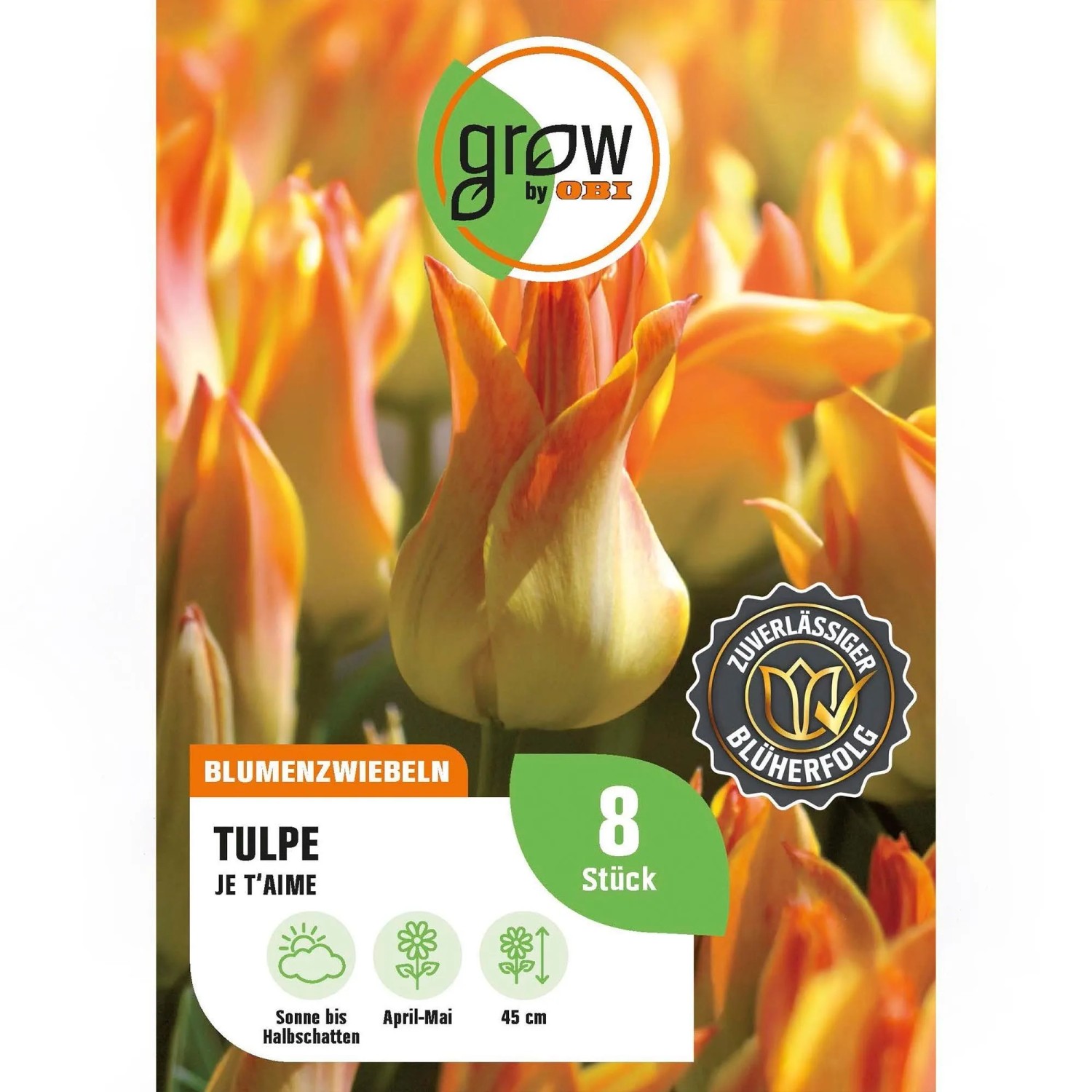 GROW by OBI Tulpe Je t'Aime Orange 7 Stück Tulipa double late Charming Lady
