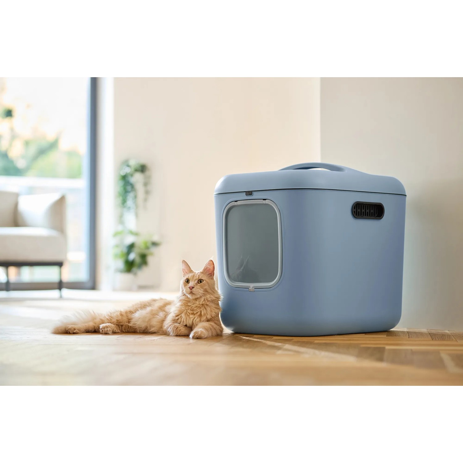 Horizontblaue Rotho Katzentoilette Biala XL mit Katze. Geruchsfilter und Magnetverschluss.