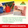 Neudorff Loxiran Ameisenmittel: Streuen und Gießen zur Ameisenbekämpfung im Garten.