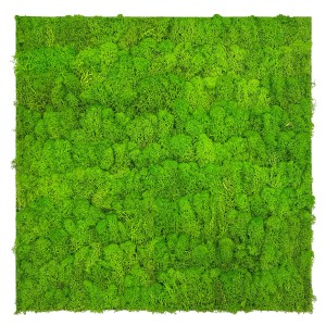 Jangal Wandpaneel Modular Wall Bright Green Moos, 52x52cm, für natürliche Wanddekoration.