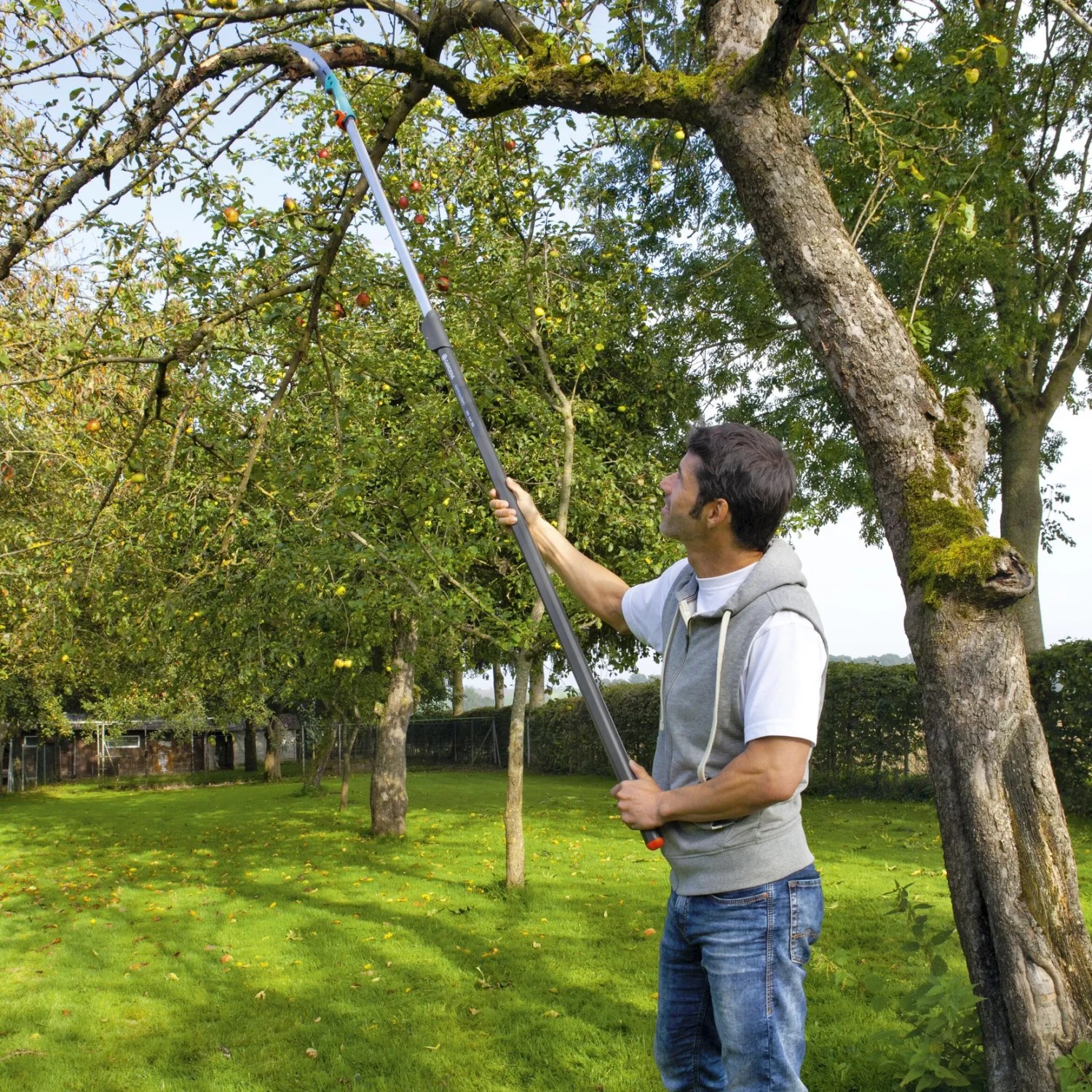 Mann sägt Ast mit Gardena combisystem Gartensäge 300 P am Baum im Garten.