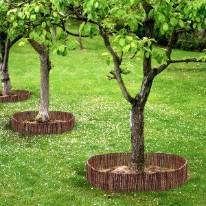 Flexible Weiden Beeteinfassung urfence als Baumschutz im Garten.