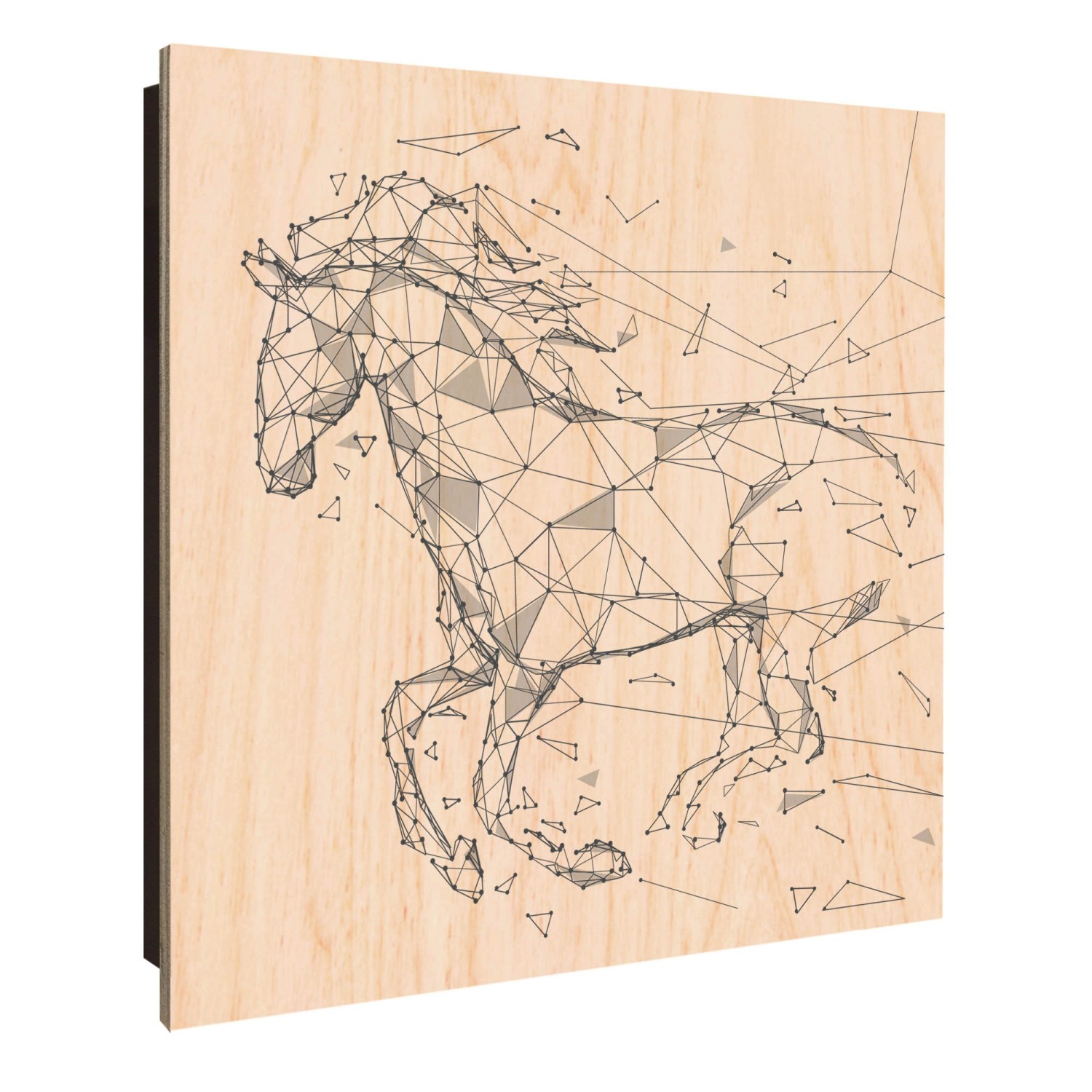 Banjado Großer Schlüsselkasten Holz 30x30cm Schwarz Scharnier Links 50 Hake günstig online kaufen