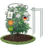 TTL GARDEN Strauchstütze 70x40cm 2er Set Pflanzenhalter für Stauden Sträucher Rosen Rankhilfe aus Metall_2