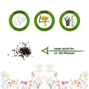 Abbildung von Thymian Deutscher Winter Samen mit Aussaat-, Ernte- und Wachstumshinweisen.