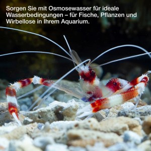Wagner BLUE Ersatzfilter Set für Expert Osmoseanlage