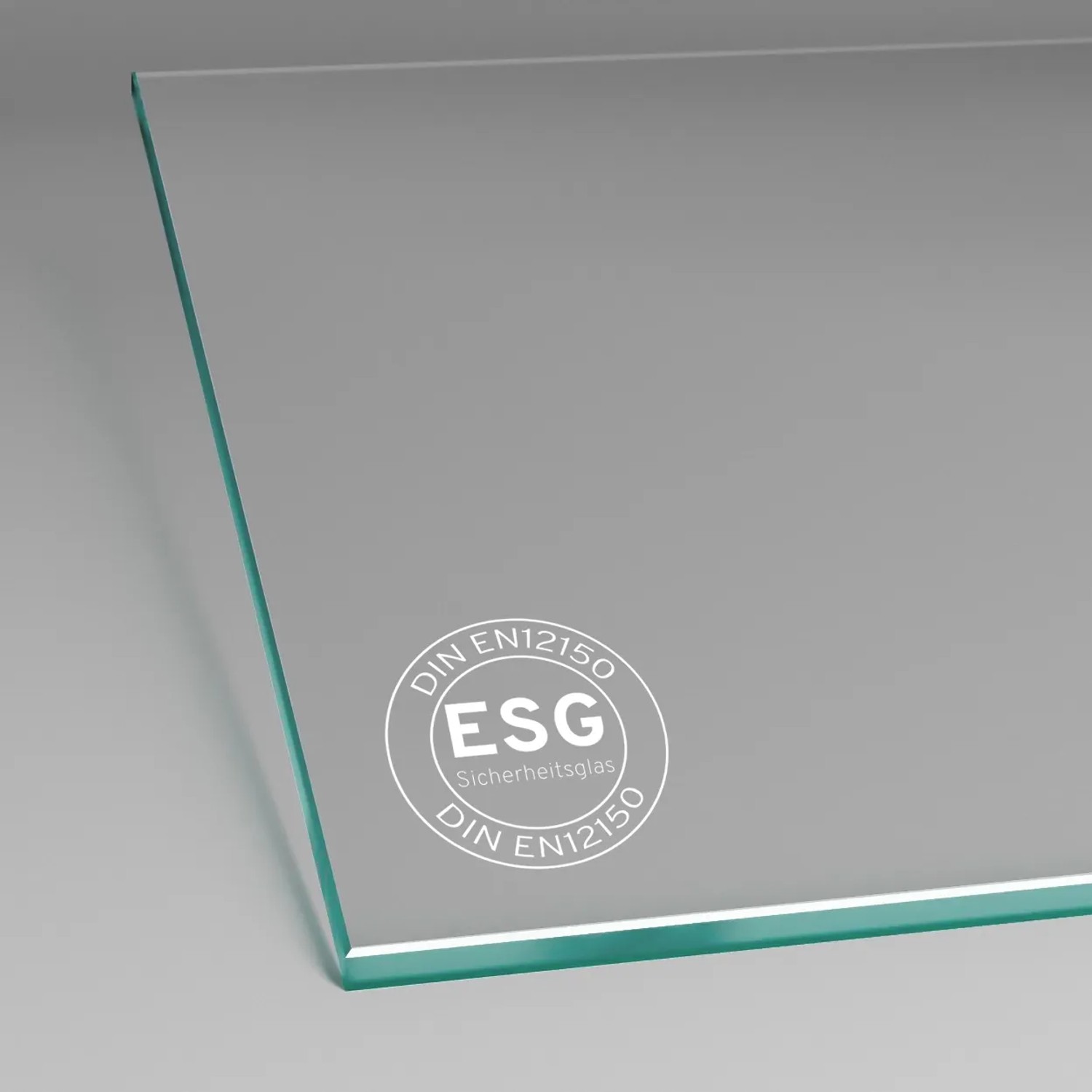 inova Glasschiebetür, satiniertes ESG Sicherheitsglas, Detailansicht.