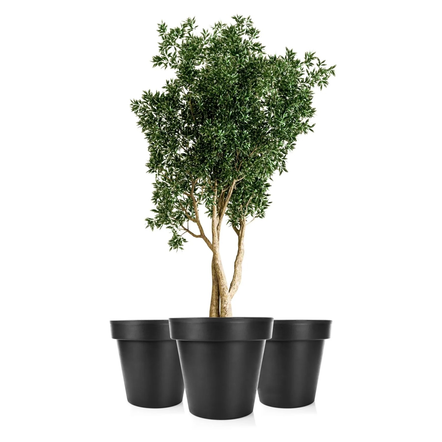 BigDean 3X Blumentopf XXL Durchmesser 60 Cm Classic Anthrazit Mit 360 Grad Rollen Wiederverschließbarer Wasserablauf Wetterfester Kunststoff BigDean 3X Blumentopf XXL ø60 cm Classic anthrazit - mit 360 Grad Rollen wiederverschließbarer Wasserablauf - wetterfester Kunststoff - Pflanzkübel